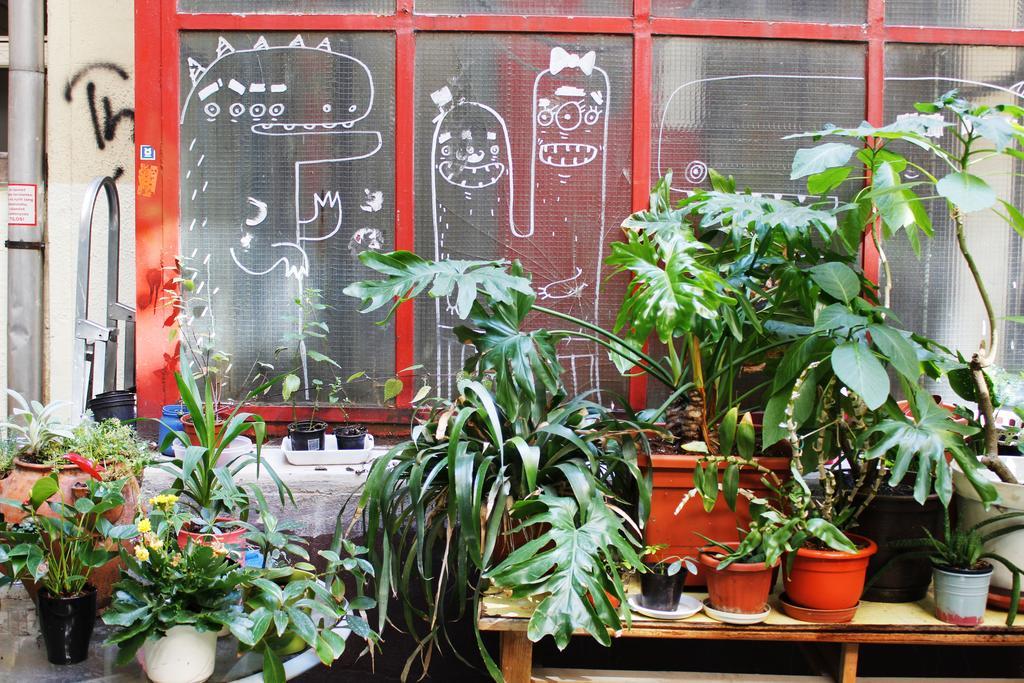 Dbc Hostel Budapest Eksteriør bilde