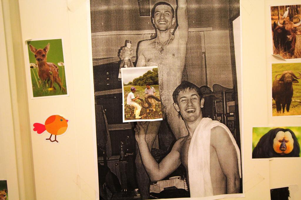 Dbc Hostel Budapest Rom bilde